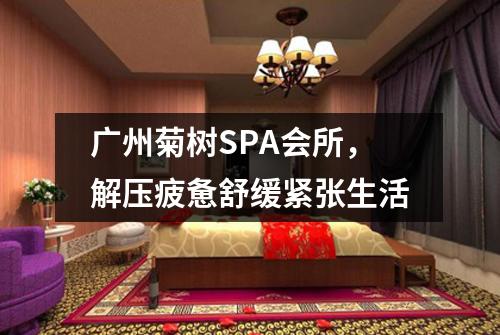 广州菊树SPA会所，解压疲惫舒缓紧张生活