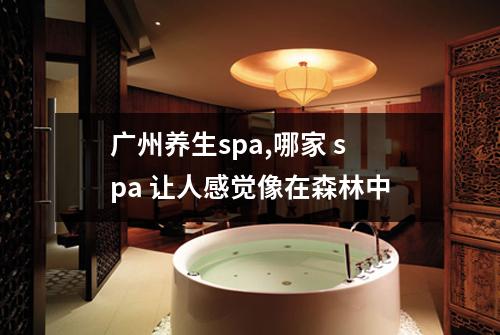 广州养生spa,哪家 spa 让人感觉像在森林中